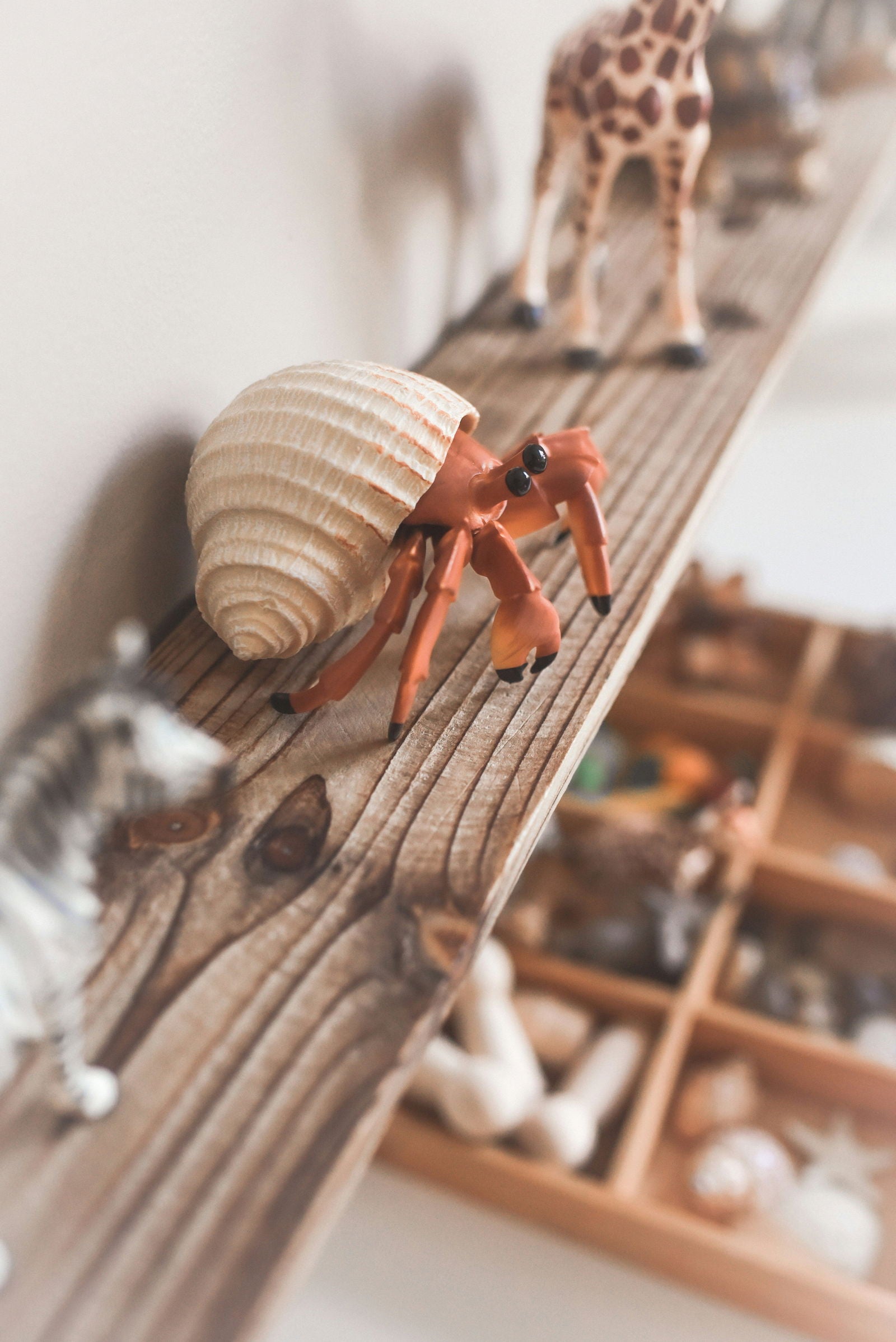 Toys - Lenepot - - - - - - -